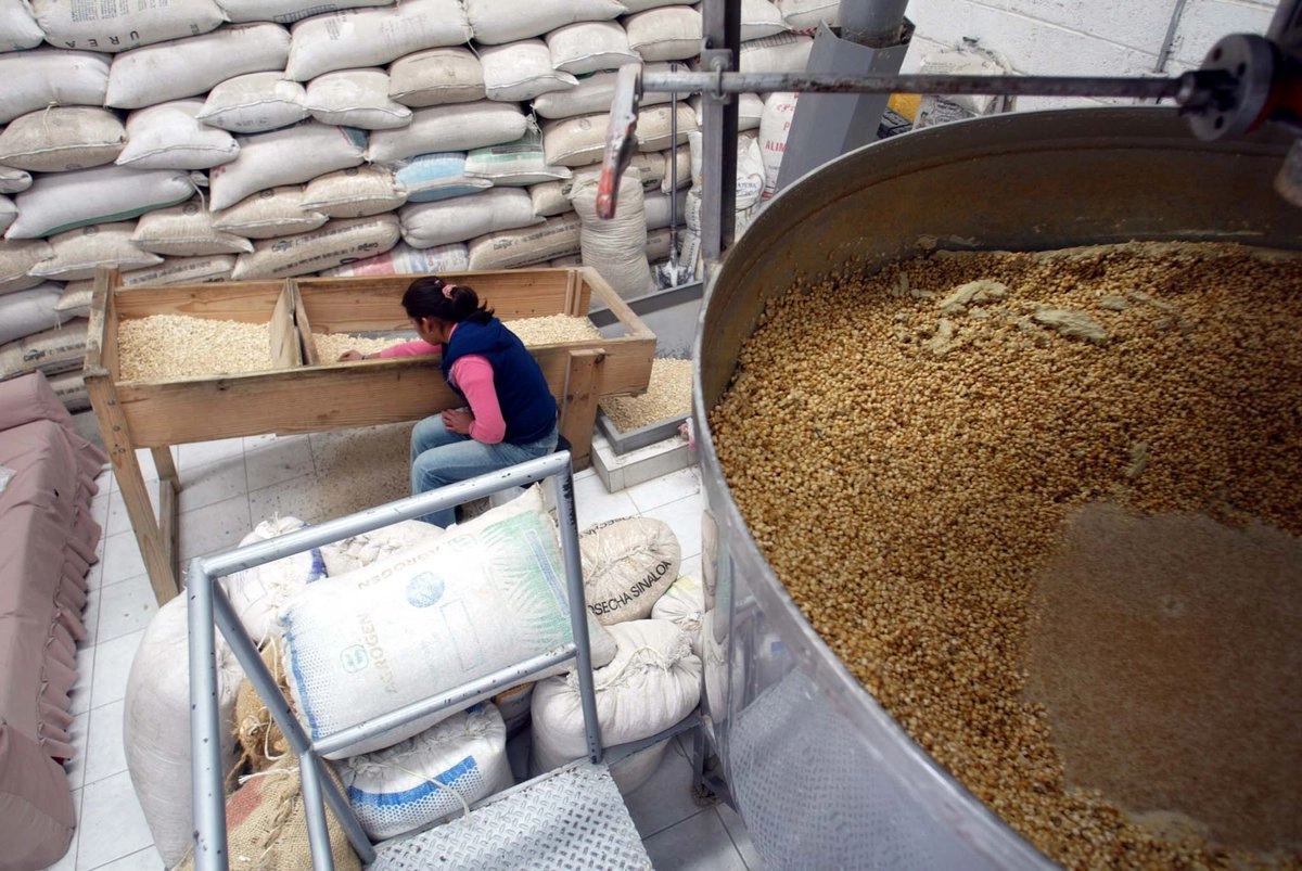 importaciones-de-maiz-alcanzan-nivel-inedito-en-el-arranque-de-2026